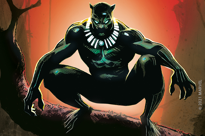 Meet the Black Panther in Tales from Wakanda @ Titan Books