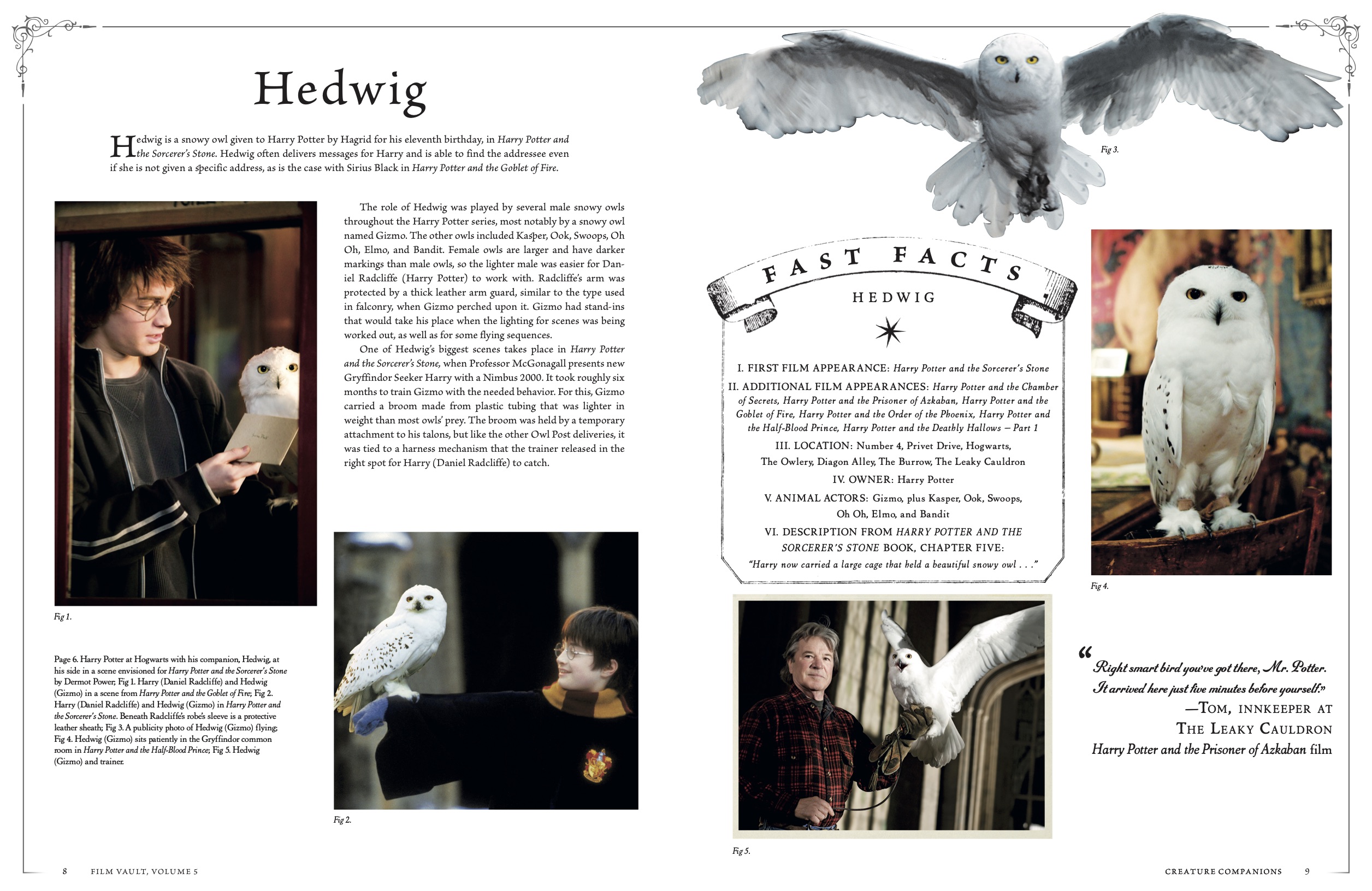 Win a Harry Potter™ The Film Vault Creature Companions, Plants, and